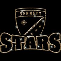 GLT32 GOLD GLITTER Thumbnail